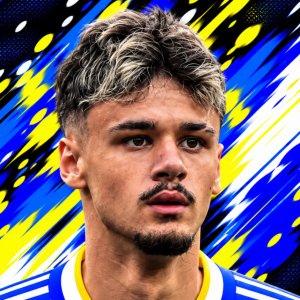 Alajbegovic Kerim
